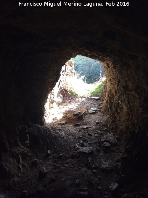 Cueva del To Laas - Cueva del To Laas. 