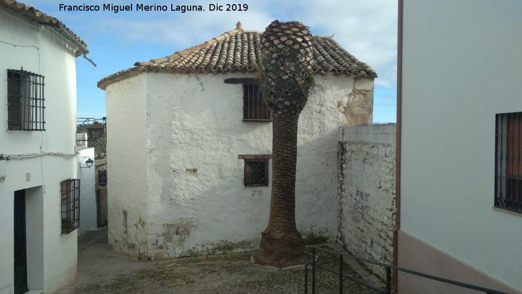 Calle Gradeta de Santo Tom�s - Calle Gradeta de Santo Tom�s. Con la palmera podada