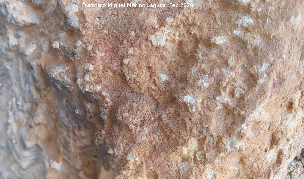 Pinturas rupestres Abrigo Este de las Pe�as de Castro III - Pinturas rupestres Abrigo Este de las Pe�as de Castro III. Manchas