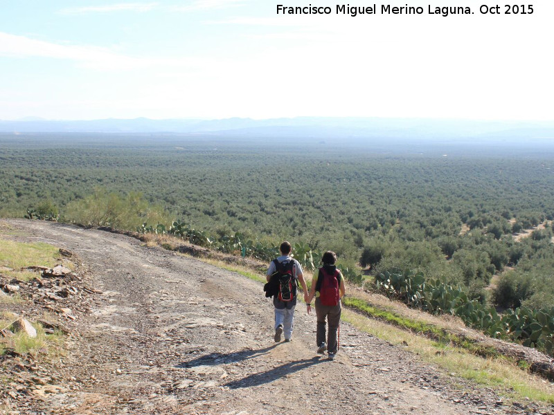 Camino de la Mesta - Camino de la Mesta. 