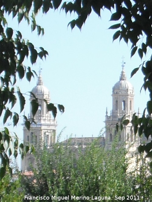 Catedral de Jan - Catedral de Jan. Desde el Parque del Seminario