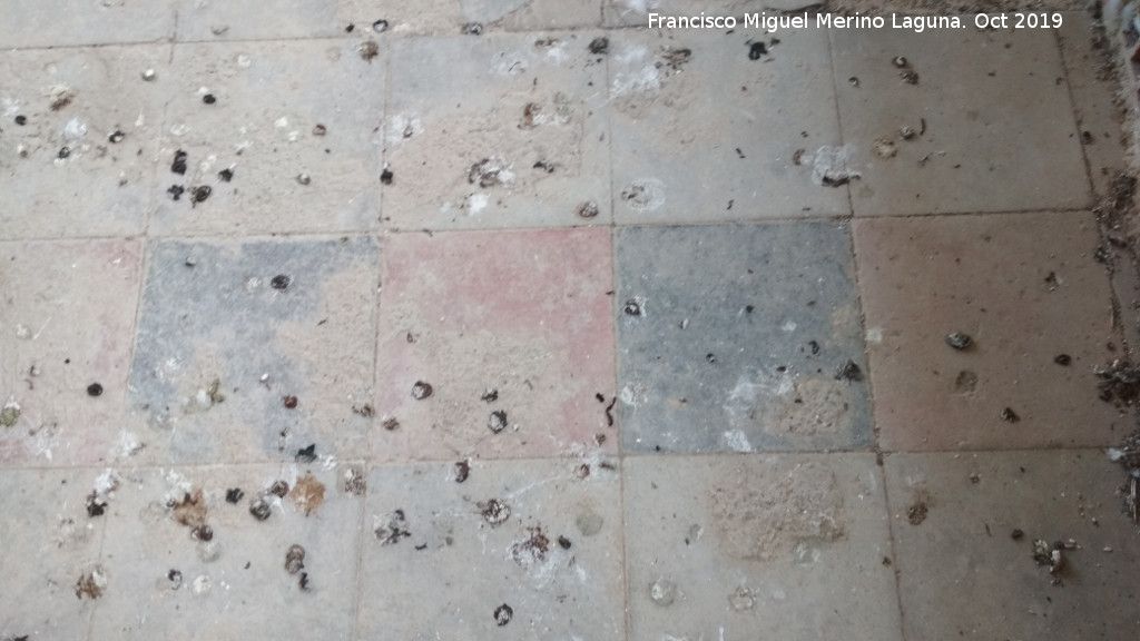 Grupo Escolar de los Caos - Grupo Escolar de los Caos. Solera del piso de arriba
