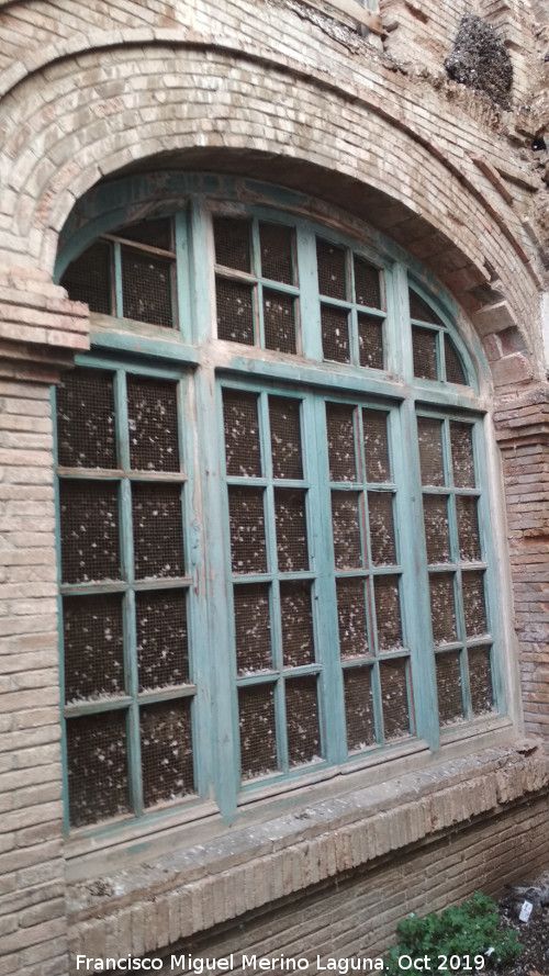 Grupo Escolar de los Caos - Grupo Escolar de los Caos. Ventana al patio