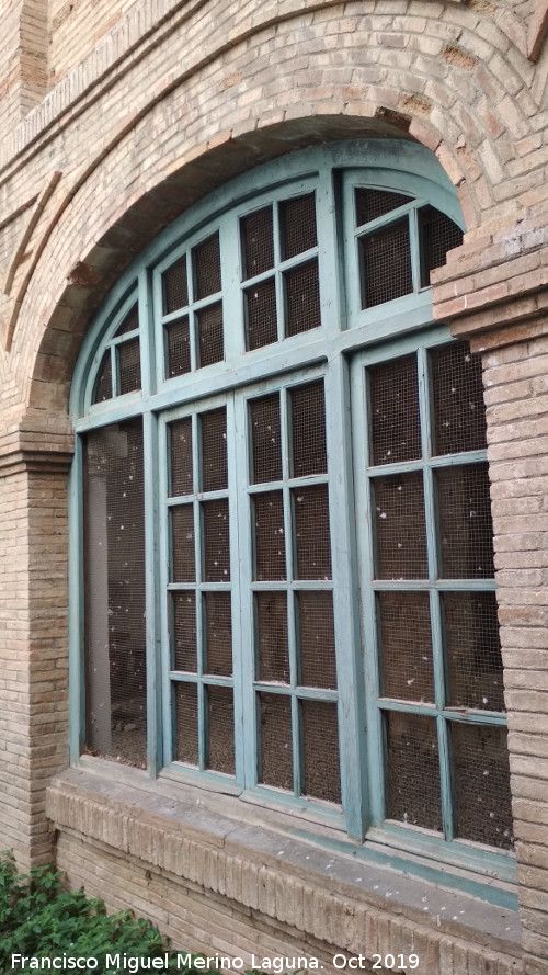 Grupo Escolar de los Caos - Grupo Escolar de los Caos. Ventana al patio