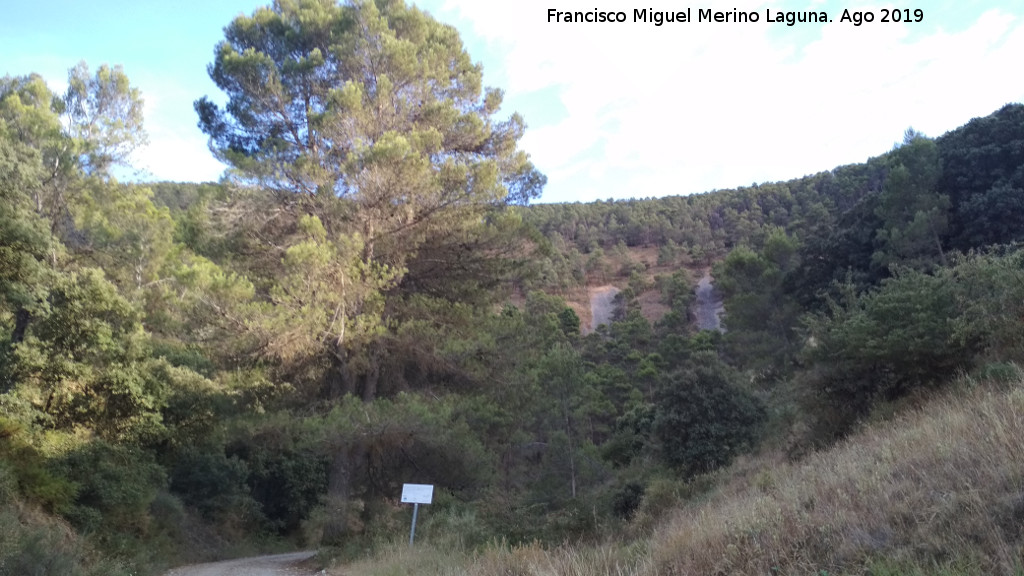 La Trinidad - La Trinidad. 