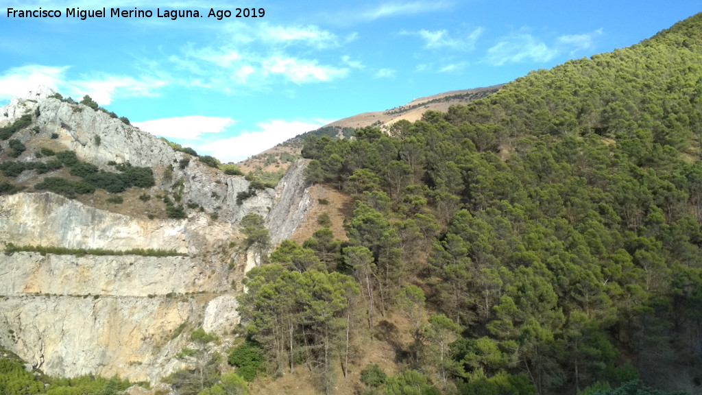 La Trinidad - La Trinidad. 