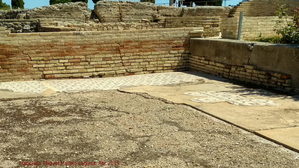 Itlica. Casa de los Pjaros - Itlica. Casa de los Pjaros. Mosaicos del triclinium