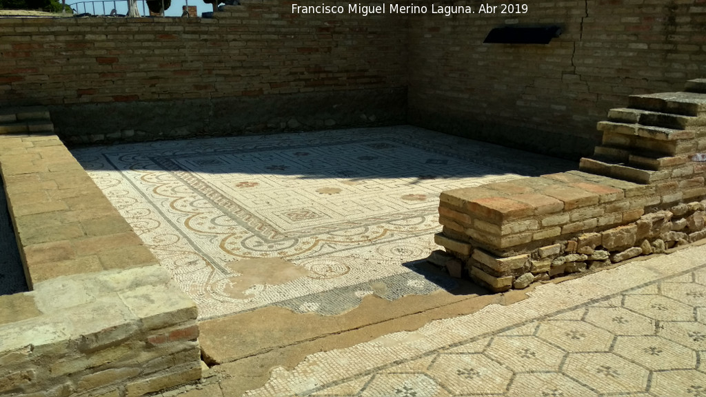 Itlica. Casa de los Pjaros - Itlica. Casa de los Pjaros. Mosaico de Medusa