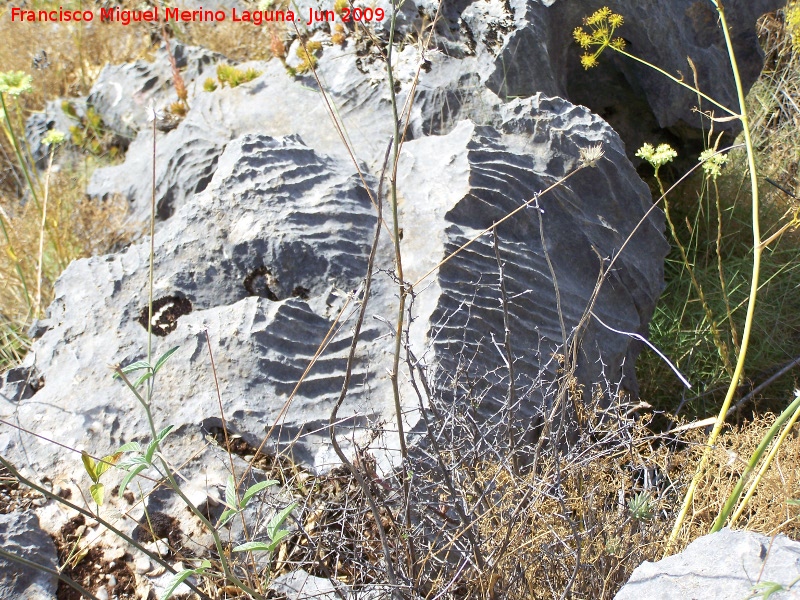 Los Caones - Los Caones. Formaciones producidas por el agua en la piedra caliza