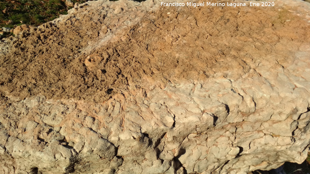 Matagallar - Matagallar. Piedra fosilera