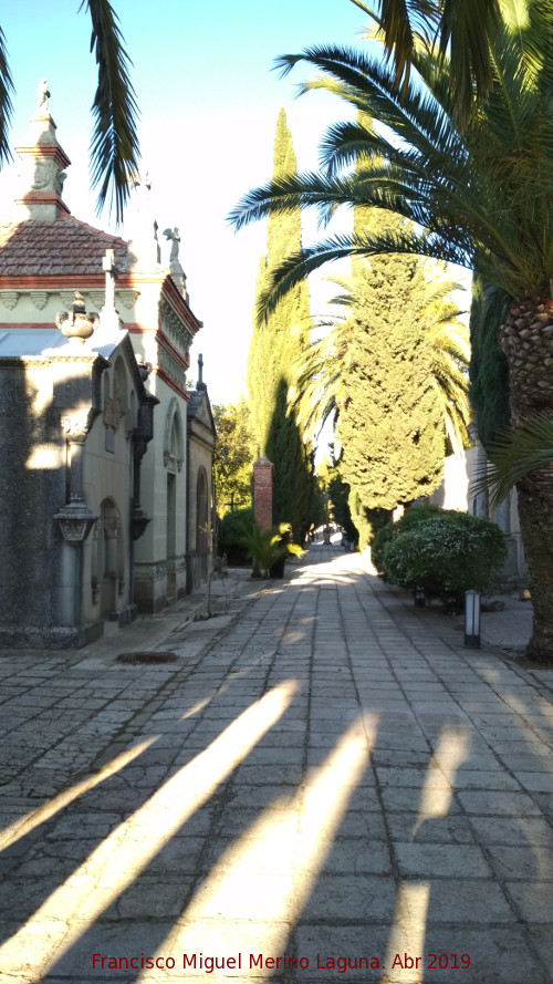 Cementerio de Baeza - Cementerio de Baeza. 