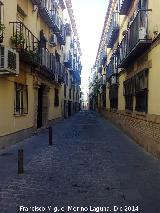 Calle Jorge Morales
