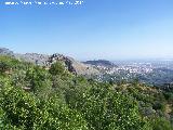 Peas de Castro. Vistas