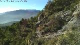 Peas de Castro. Vistas desde su ladera