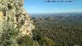 Peas de Castro. Vistas desde sus paredes