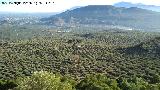 Peas de Castro. Vistas desde su ladera