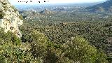 Peas de Castro. Vistas desde su ladera