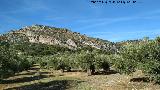 Peas de Castro. Ladera este