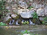 Nacimiento del Ro Oviedo. Nacimiento