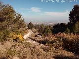 Fuente de la Rana. Paraje