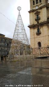 Plaza de Santa Mara. rbol de Navidad