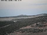 Cortijo de la Torre de Buenavista. Desde la Torre de Sancho Iiguez