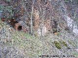 Casas Cueva de la Guarida. 