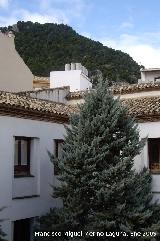 Convento de los Jesuitas. Desde la galera alta del patio principal el cerro de Santa Catalina