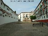 Plaza del Conde de Priego. 