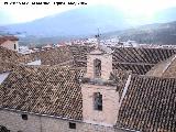 Convento de Santa Teresa. Tejados de su claustro