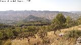 Sierra de Caniles. Vistas hacia la Sierra de San Pedro