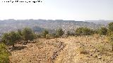 Sierra de Caniles. Vistas hacia la Sierra de San Pedro