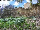 Cortijo de San Antonio. Muro perimetral