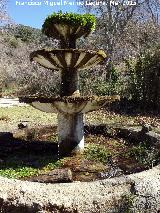 Fuente de las Ranas. 