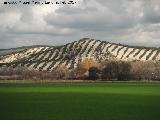 Cerro de la Horca