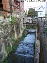 Molino Alto de Lope Prez. Canal
