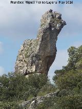 Piedra Virgen del Camello. 