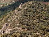 Piedra Virgen del Camello. 