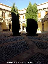 Convento de Santo Domingo. Cipreses recortados del claustro