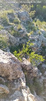 Necr�polis del Banco. Paredes rocosas