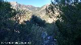 Sierra de Jan. Vistas desde El Cuchillejo