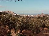 Torre Quebrada. En comunicacin con el Castillo de Santa Catalina