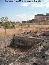 Marroques Bajos. Yacimiento de la Ciudad de la Justicia. 