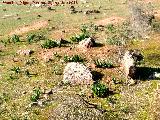 Necrpolis dolmnica del Guadaln. Dolmen?