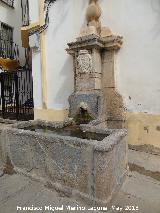 Fuente de la Plaza de San Rafael