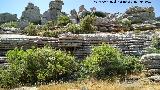 Torcal de Antequera. 