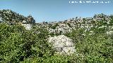 Torcal de Antequera. 