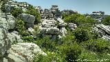 Torcal de Antequera. 