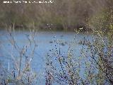 Laguna La Charca. 