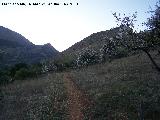 Cordel del Collado de la Yedra. Al fondo la Cresta del Diablo